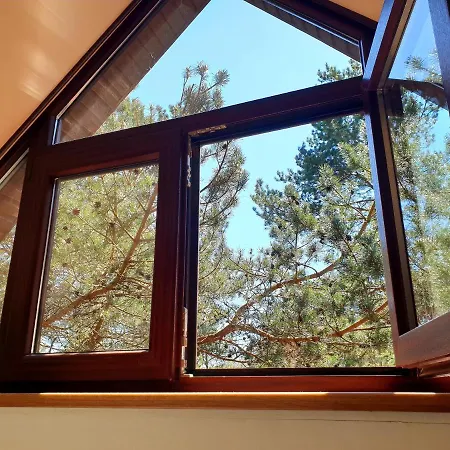 Гостевой дом Pusu Kiemas Паланга